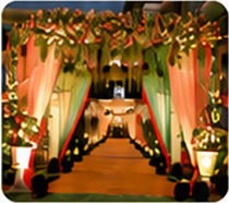 Our Recent Work 1